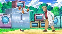 To Catch a Rotom! To Catch a Rotom!