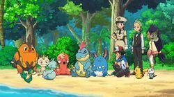 The Pirates of Decolore! The Pirates of Decolore!