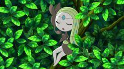 All for the Love of Meloetta! All for the Love of Meloetta!