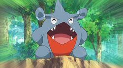 A Rivalry to Gible On! A Rivalry to Gible On!