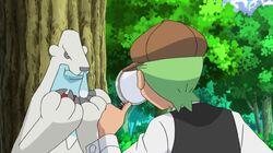 The Mystery of the Missing Cubchoo! The Mystery of the Missing Cubchoo!