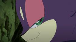 Purrloin: Sweet or Sneaky? Purrloin: Sweet or Sneaky?