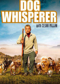 The Dog Whisperer The Dog Whisperer