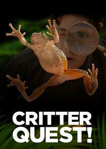 Critter Quest! Critter Quest!