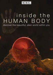 Inside the Human Body Inside the Human Body