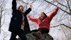 Birds Singing Everywhere Birds Singing Everywhere