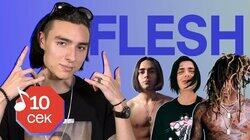 Flesh Flesh