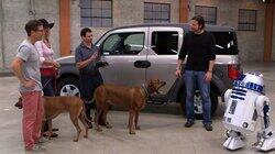 Best Car for Dogs Best Car for Dogs