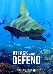 Attack and Defend Attack and Defend