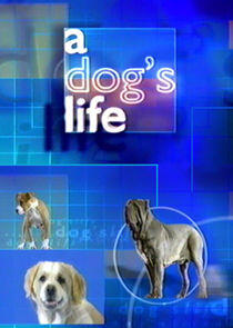 A Dog's Life A Dog's Life