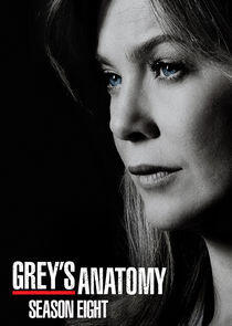 Grey's Anatomy - Season 8 Grey's Anatomy - Season 8