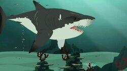 Stuck on Sharks Stuck on Sharks