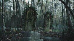 Mysterious Urban Legends