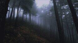 The Rendlesham Forest Incident The Rendlesham Forest Incident