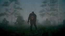 Bigfoot And Yeti