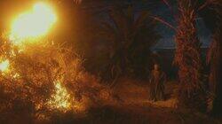 The Amazing Events of the Book of Exodus The Amazing Events of the Book of Exodus