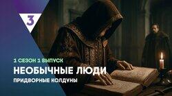 Придворные колдуны Придворные колдуны