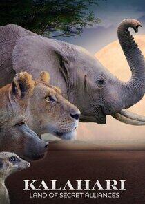 Kalahari: Land of the Secret Alliances Kalahari: Land of the Secret Alliances