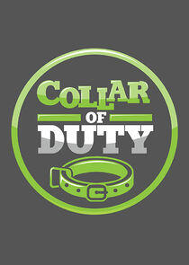 Collar of Duty Collar of Duty