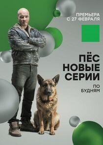 Пёс - Season 2 Пёс - Season 2