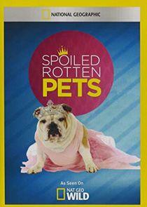 Spoiled Rotten Pets Spoiled Rotten Pets