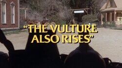 The Vulture Also Rises The Vulture Also Rises