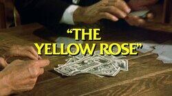 The Yellow Rose The Yellow Rose