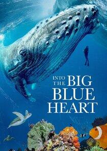 Into the Big Blue Heart Into the Big Blue Heart