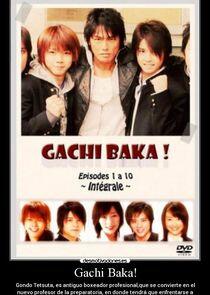 Gachi Baka! Gachi Baka!
