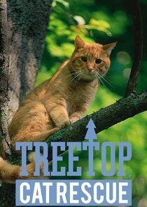Treetop Cat Rescue Treetop Cat Rescue