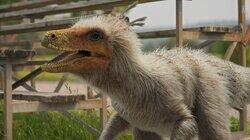 Chickenosaurus Rex Chickenosaurus Rex
