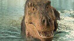 Dino Deep End Dino Deep End