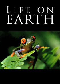 Life on Earth Life on Earth