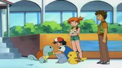 Love, Pokémon Style Love, Pokémon Style