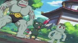 Pop Goes the Sneasel Pop Goes the Sneasel