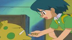 Taming of the Shroomish Taming of the Shroomish
