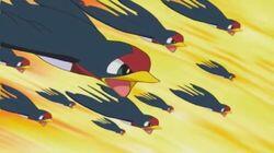 You Never Can Taillow You Never Can Taillow