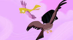 Freebird Freebird