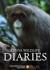 Kenya Wildlife Diaries Kenya Wildlife Diaries