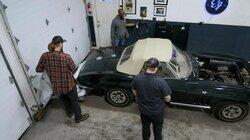 Electric Stingray Electric Stingray