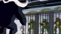 What's Michelangelo Good For? What's Michelangelo Good For?