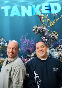 Tanked Tanked