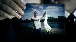 Dead Swan Dead Swan