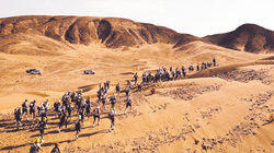 Lost in the Desert Lost in the Desert