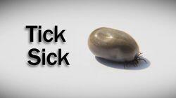 Tick Sick Tick Sick