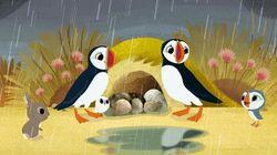 Cave Camping / The Empty Shell / Three's a Crowd Cave Camping / The Empty Shell / Three's a Crowd