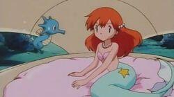 The Misty Mermaid The Misty Mermaid