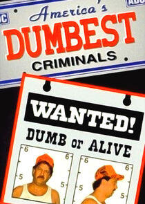 America's Dumbest Criminals America's Dumbest Criminals