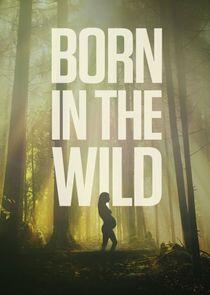 Born in the Wild Born in the Wild