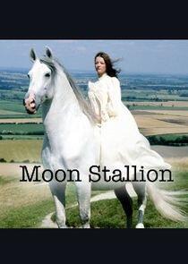 The Moon Stallion The Moon Stallion